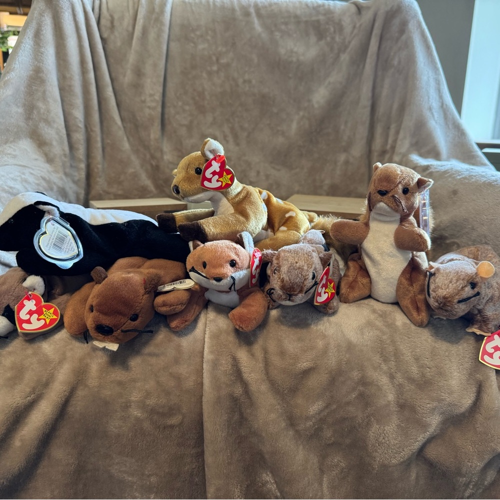 Ty Beanie Baby collection